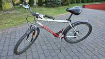 Rower Arkus Dynamic