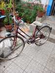 Bicicleta pasteleira