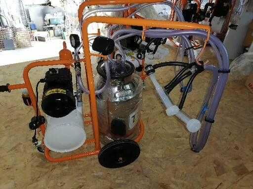 Amarre com plataforma para cabras ou ovelhas