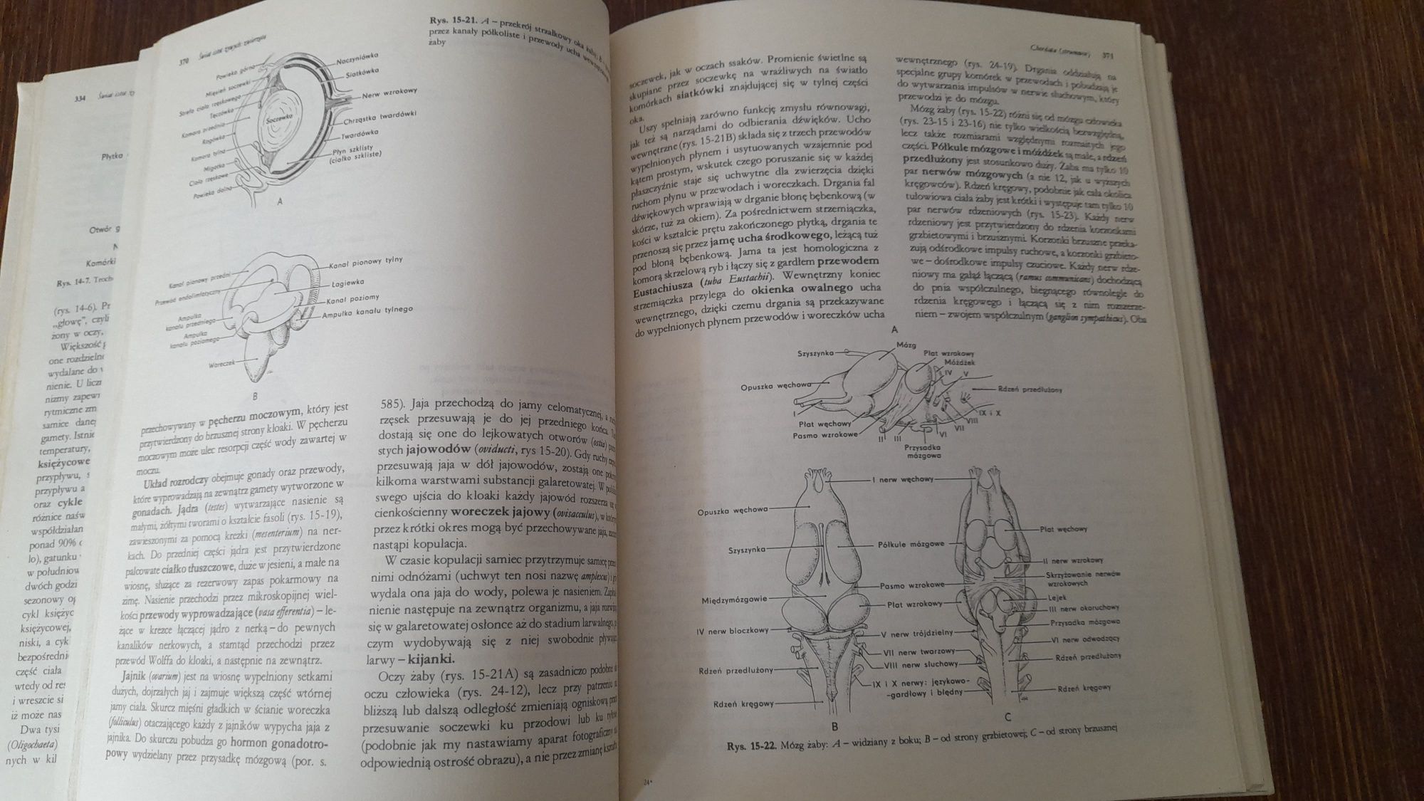 Biologia Claude A. Villee. Antybiotyki i chemioterapia