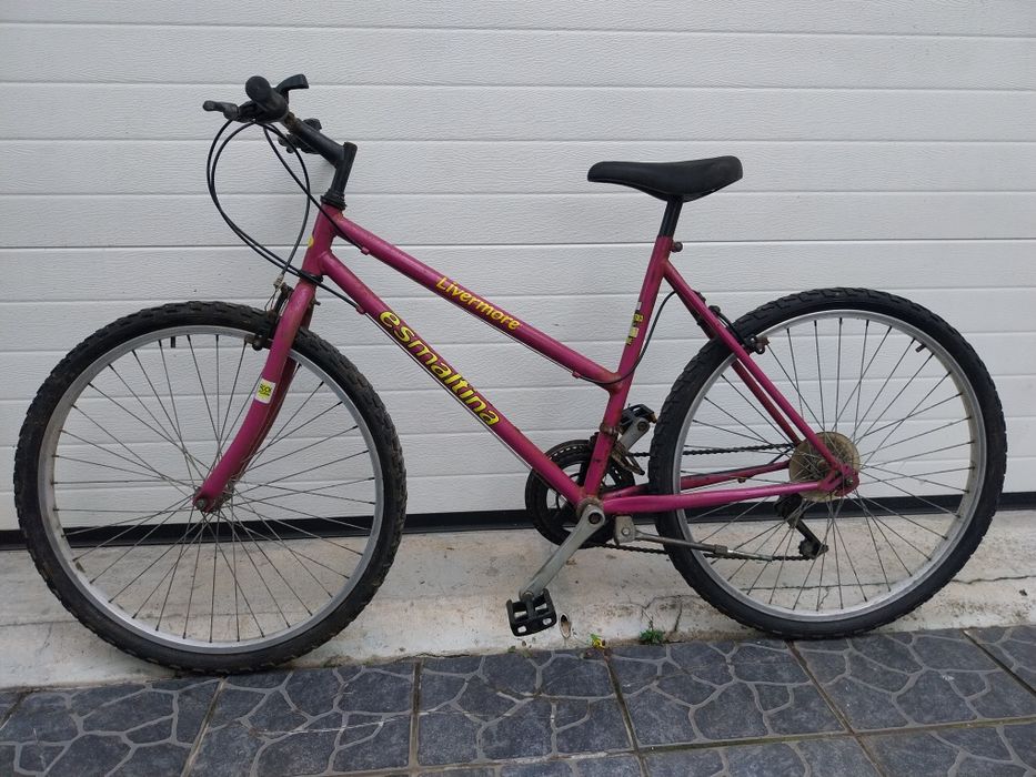 Bicicleta esmaltina
