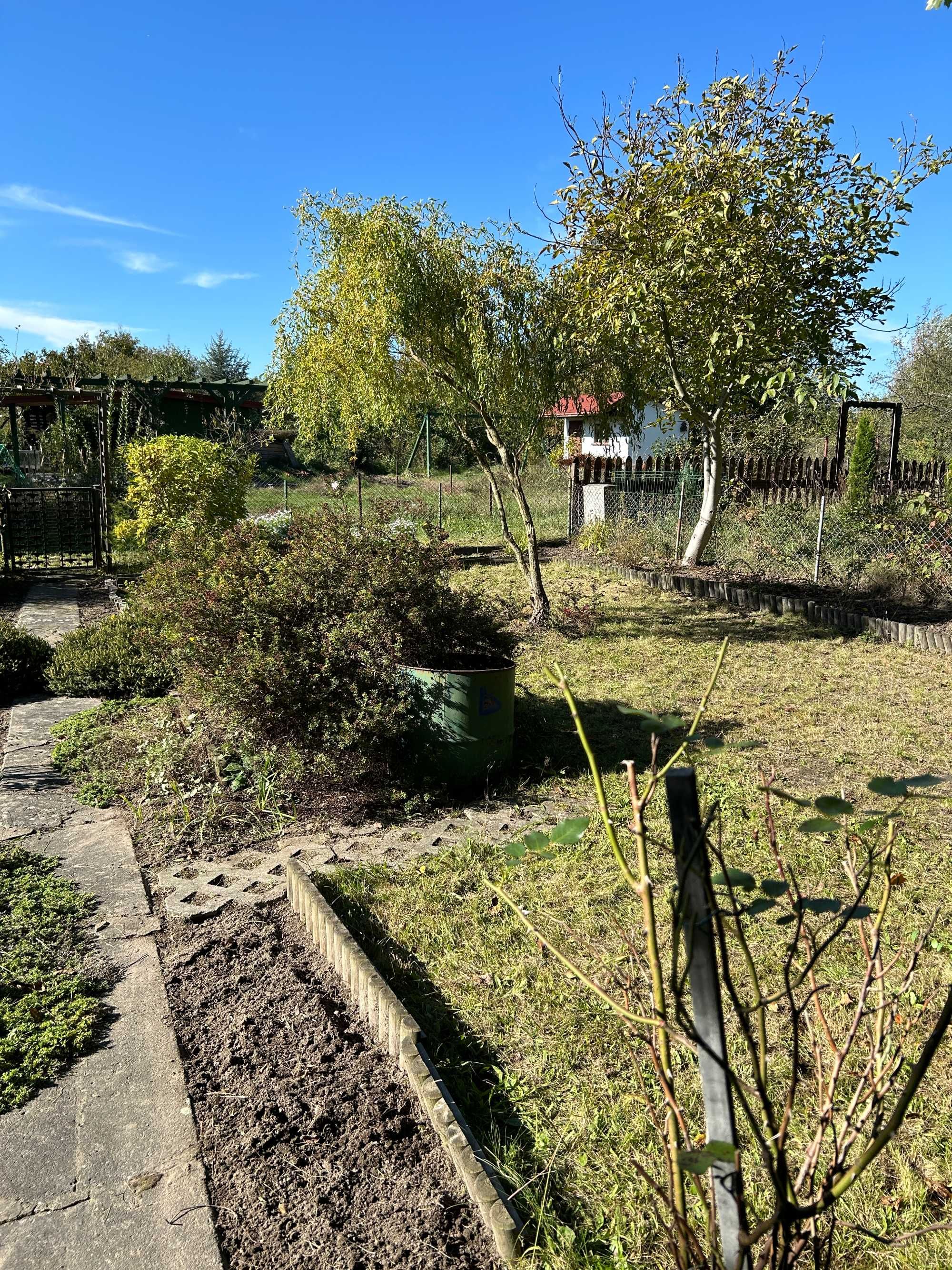 Ogródek działkowy ROD Piwonia Wrocław, ul. Graniczna 47