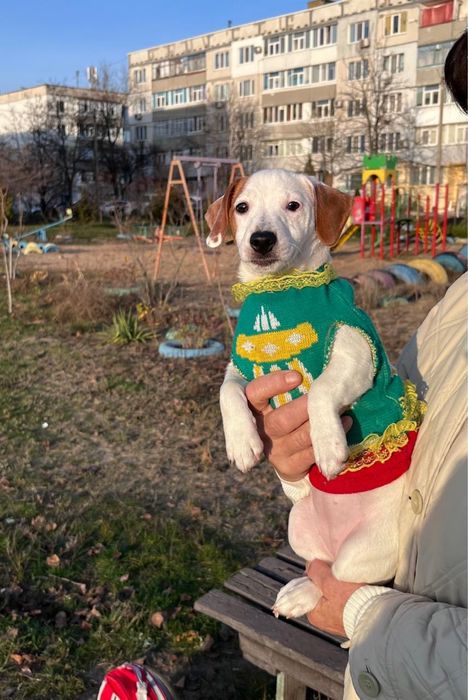 Красивая малышка ищет маму