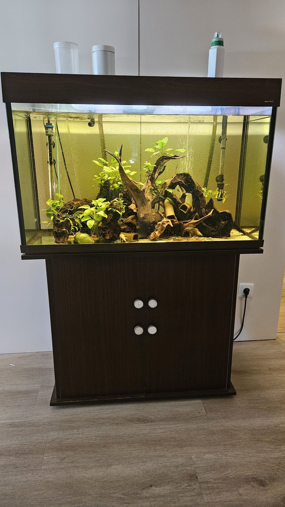 Aquario Aquis One