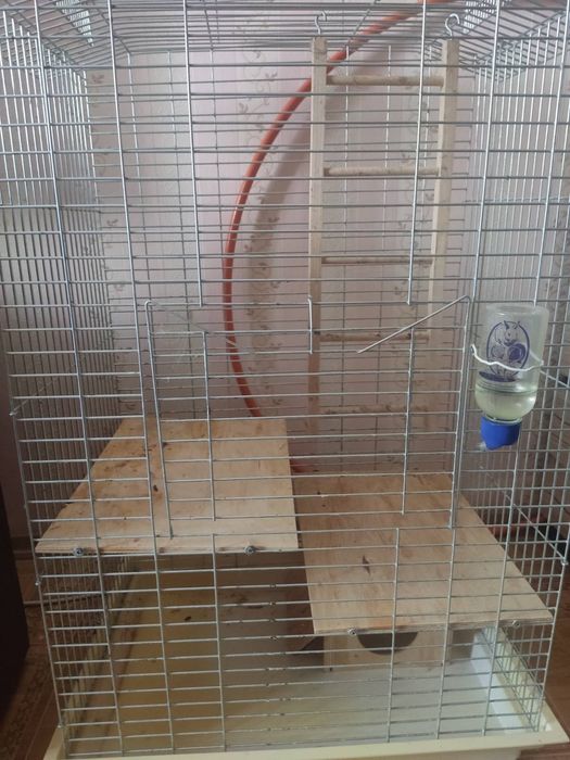 Продам клетку для шиншилли