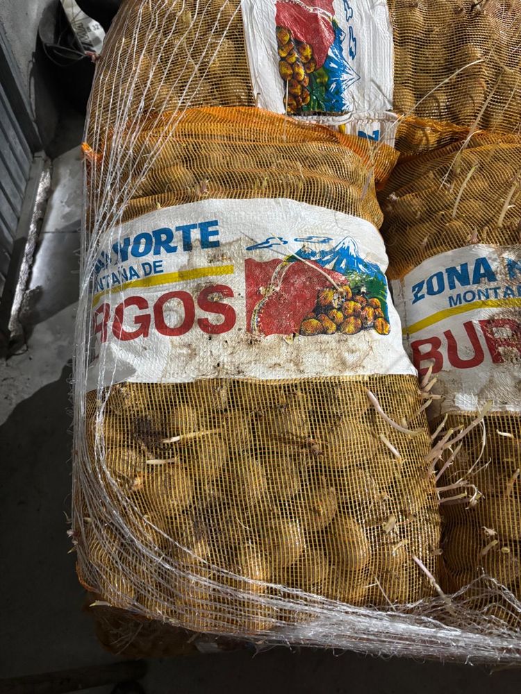 Semente de batata agria
