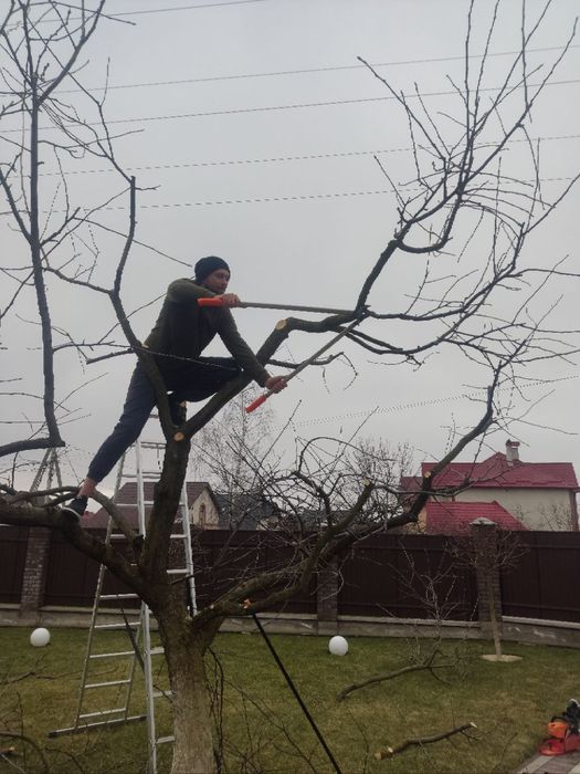 ПокісТрави#Газон#ДоглядЗаГазоном#ВичісуваннГазону#Обрізка