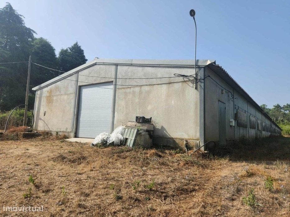 Armazém agrícola arrenda-se com1350m2, em Almalaguês