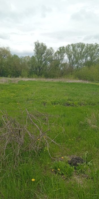 Продаю будинок хату з садом та огородом