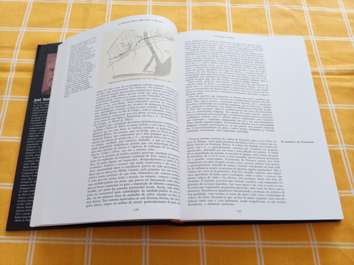História de Portugal (volume 1) - direção José Mattoso