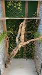 Terrario 1,80 m por 80 cm + acessorios