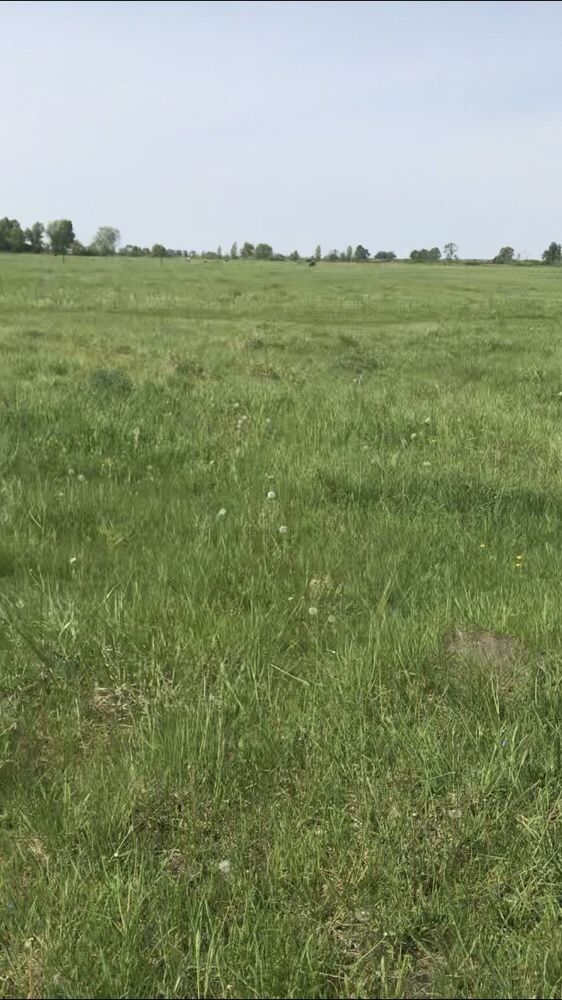 Продам земельну ділянку під забудову,приватизована.