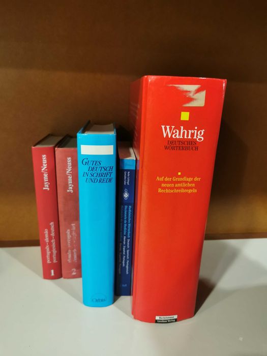 Dicionários / Livros