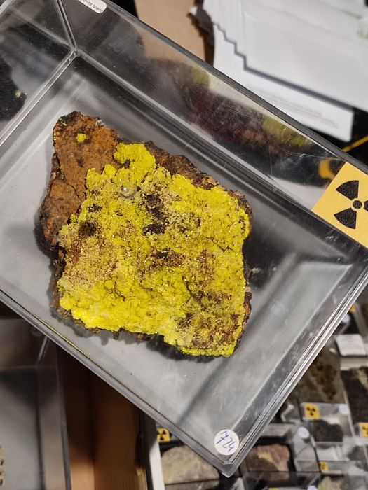 Minerał uranowy. Autunit, świeci przepięknie w UV.