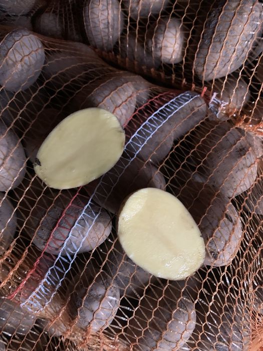 Ziemniaki jadalne gala duza ilosc