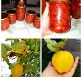 Продам смачне варення з айви