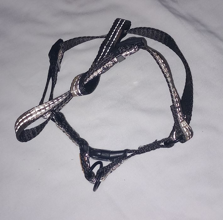 Peitoral para cão pequeno 3€