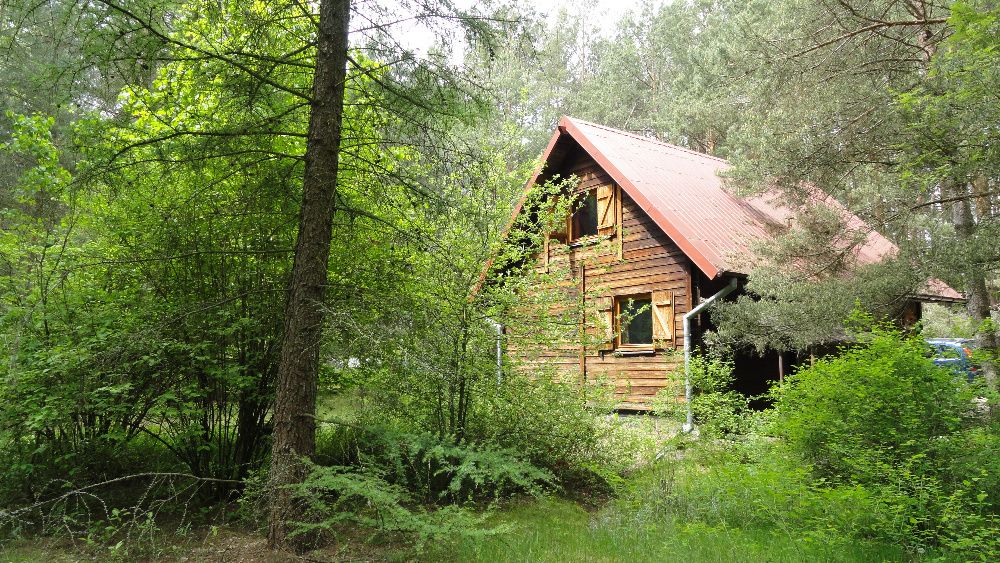 Domek letniskowy na skraju Puszczy Białej, w okolicach Pułtuska