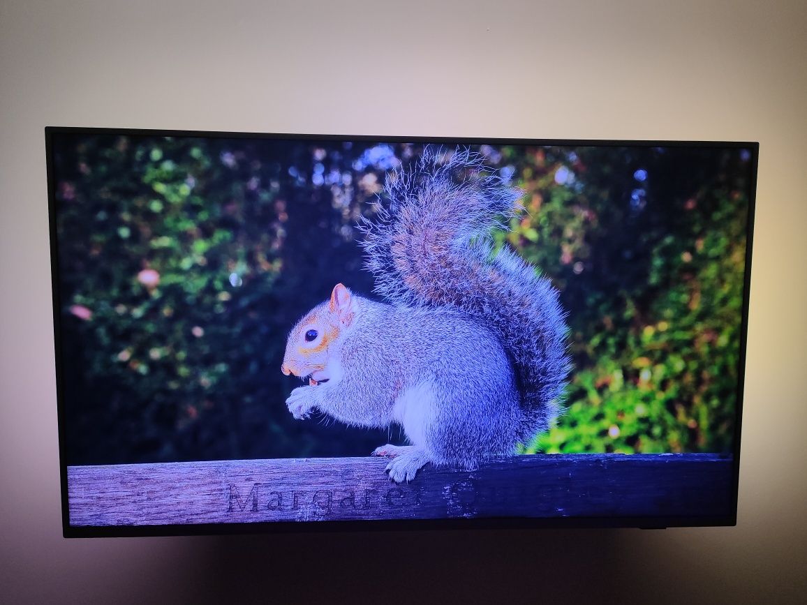 Do Negocjaci Telewizor Philips 55PUS7334/12 55" LED 4K Android TV Ambi