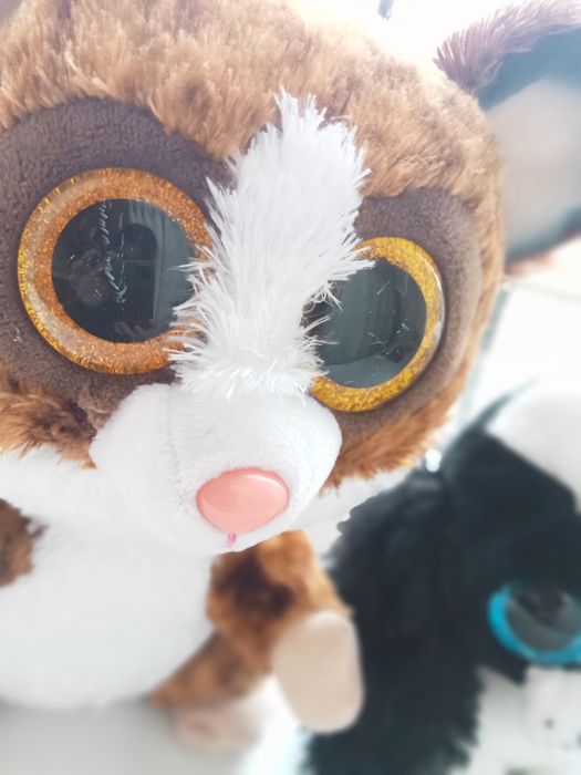 М'які іграшки TY глазастики