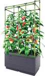 Bio Green Cityjungle doniczka/skrzynia na balkon ( warzywa / pomidory)