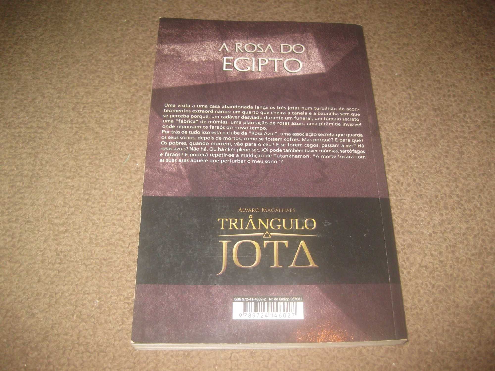 Livro do Triângulo Jota "A Rosa do Egipto" de Álvaro Magalhães