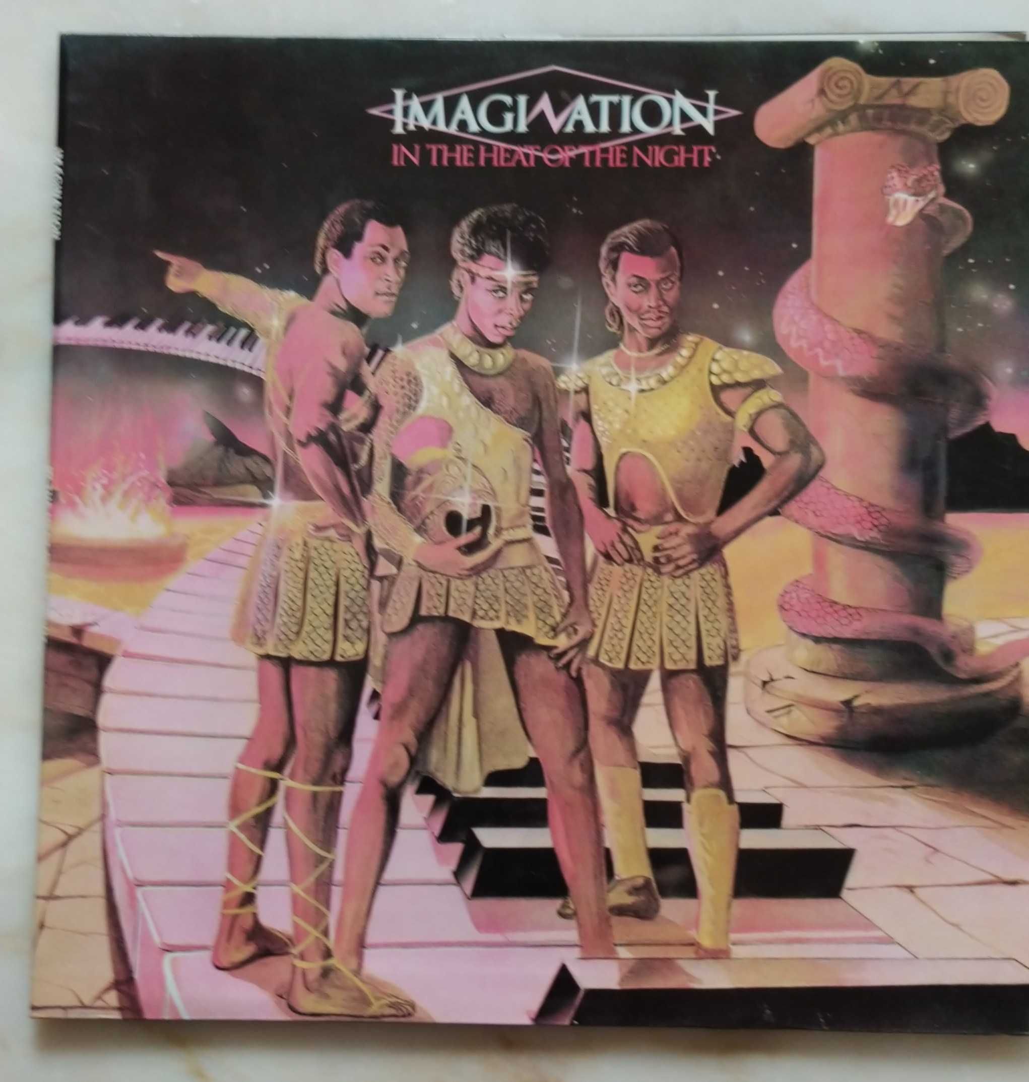 Disco LP Imagination