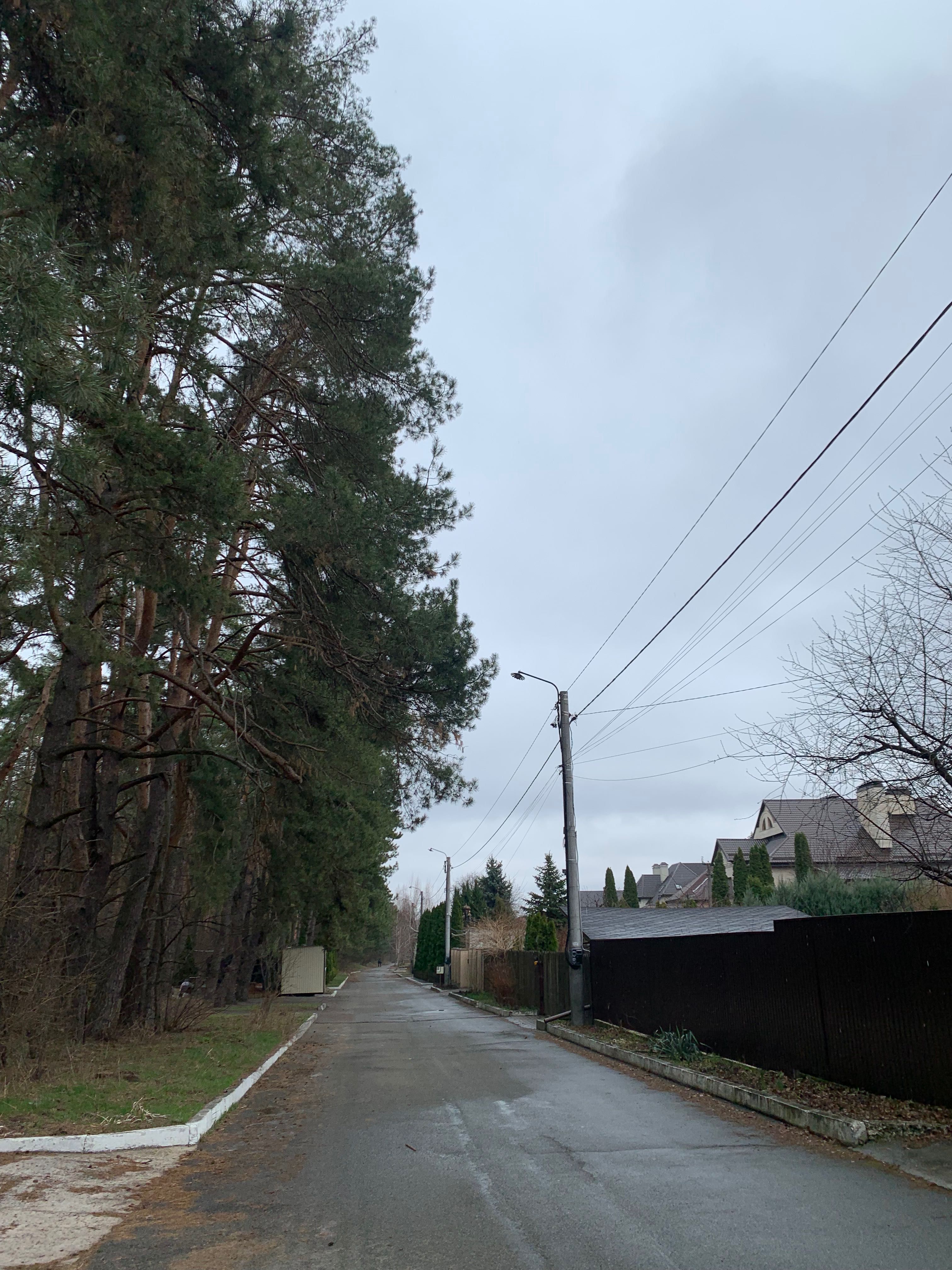 Продам  ділянку біля лісу   Петропавлівська Борщагівка