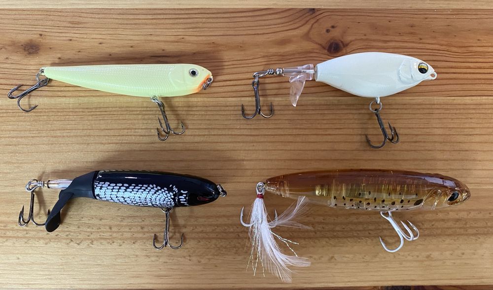 Lote de amostras - Pesca ao Achigã