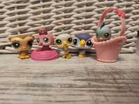 Littlest Pet Shop zestaw ptaki używane unikat
