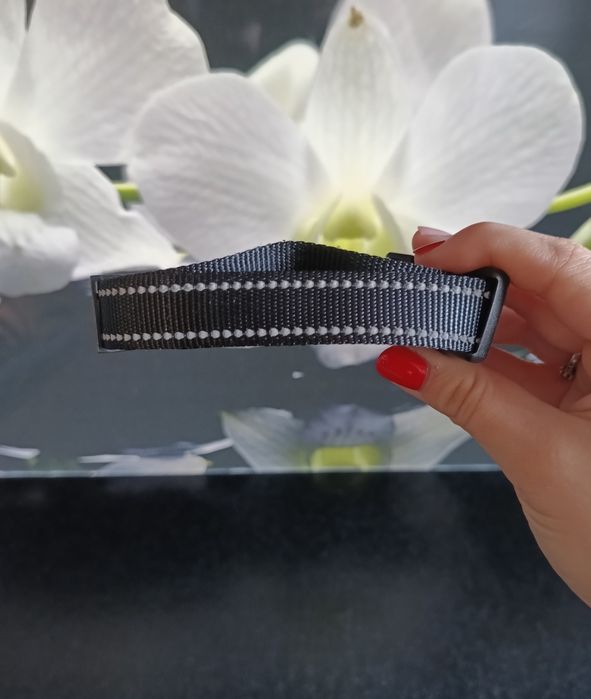 Obroża dla psa odblaskowa, regulowana, czarna, z klamrą