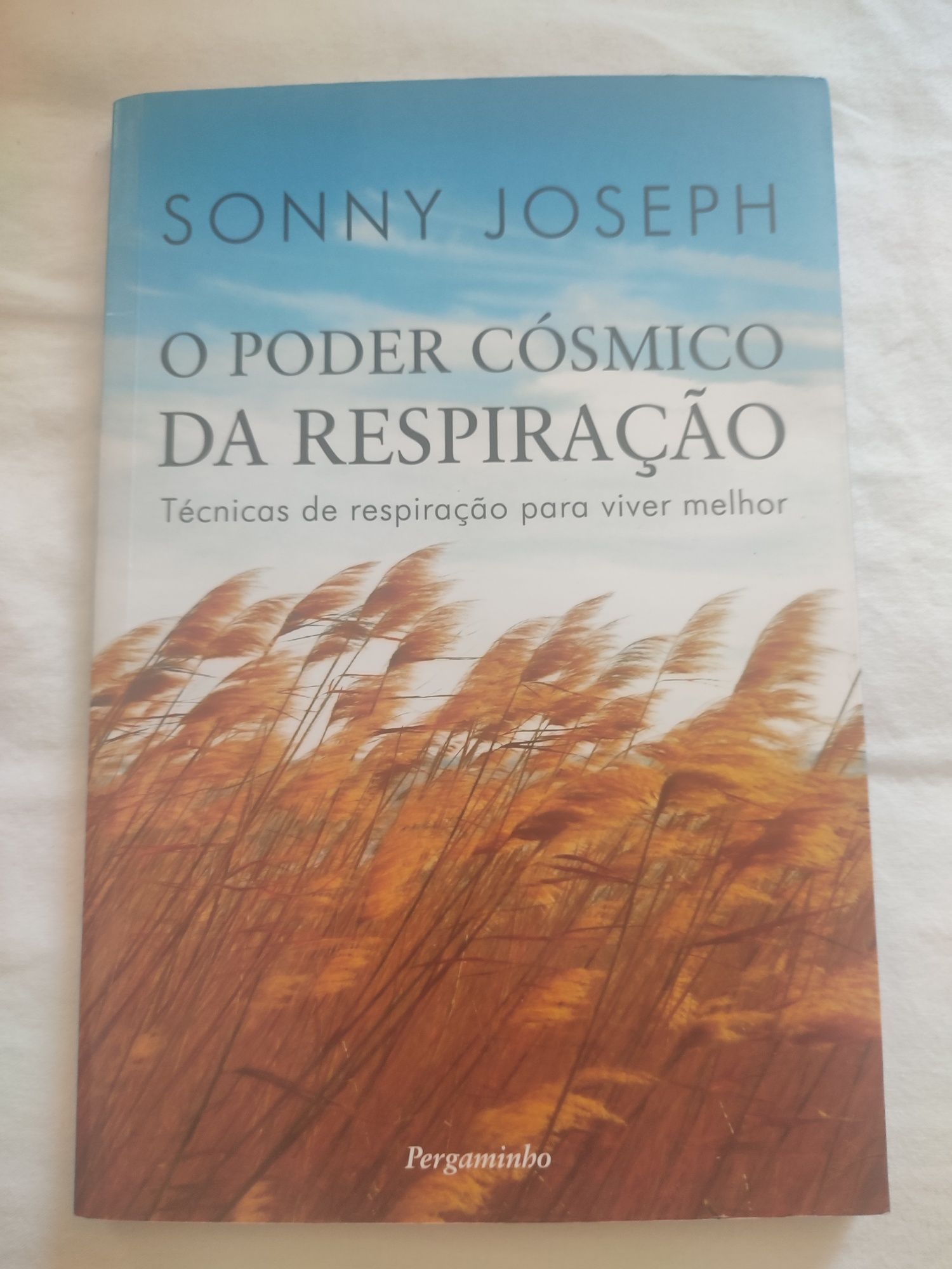 O poder cósmico da respiração - Sonny joseph