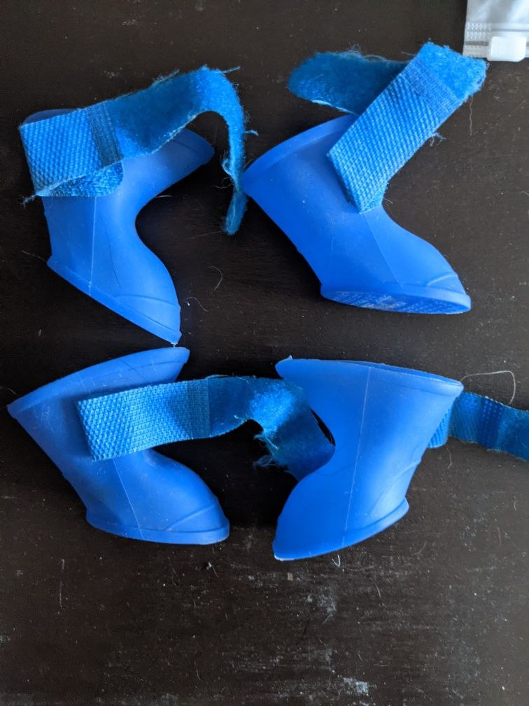 Buty gumowe do psów i kotów