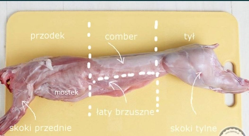 Królik tuszka ok 2kg