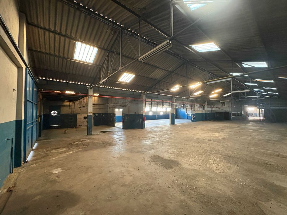 Arrenda Armazém 1700 m² | Entre São Mamede e Fátima | Excelente Acesso