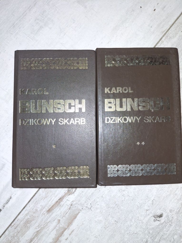 Karol Bunsch Dzikowy skarb
