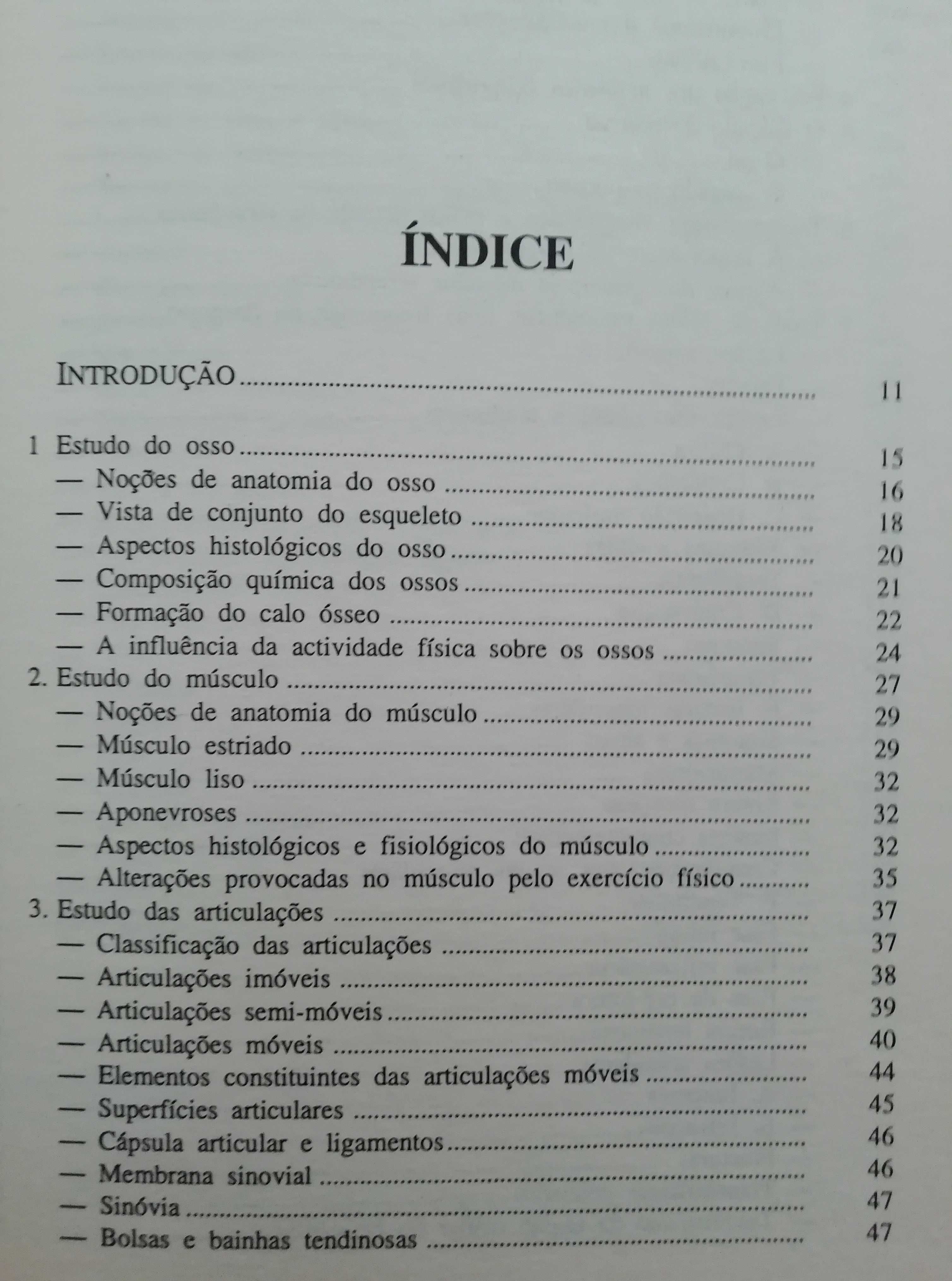 Lesões mais comuns no desporto - Luís Nunes