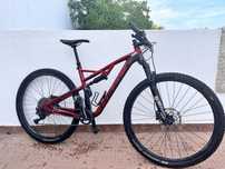 Bicicleta Coluer stake