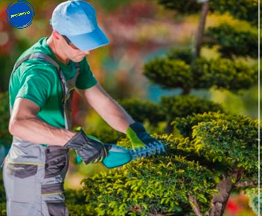 Садівник/обрізка дерев