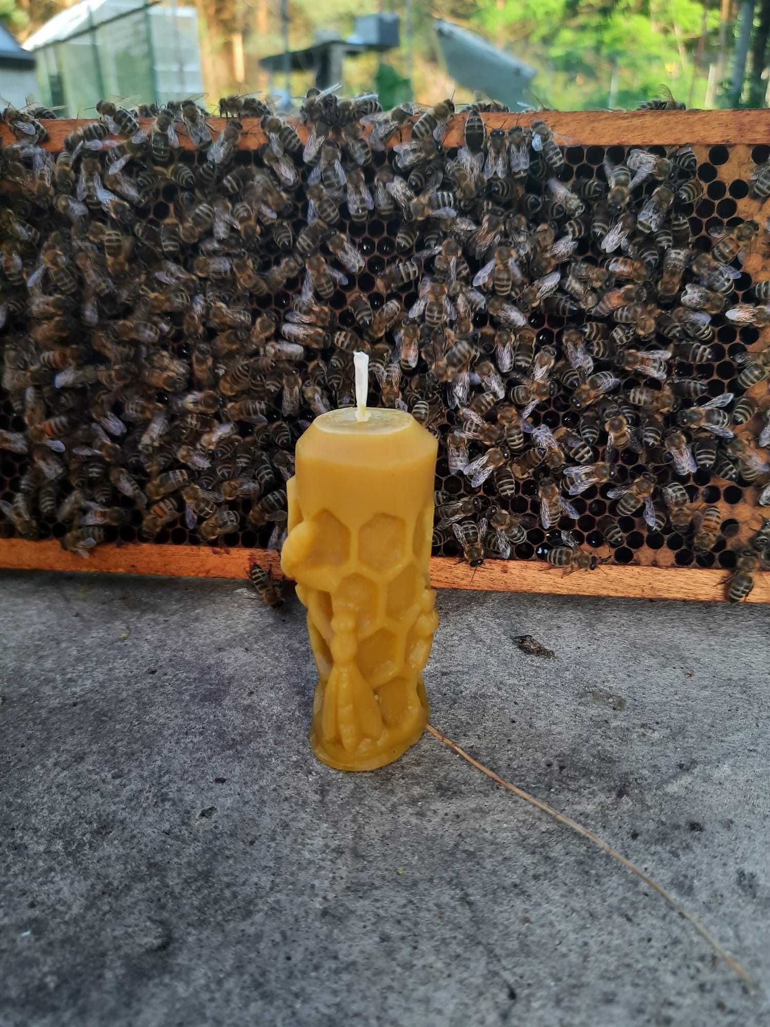 Świeczka świeca wosk pszczeli 100% naturalny