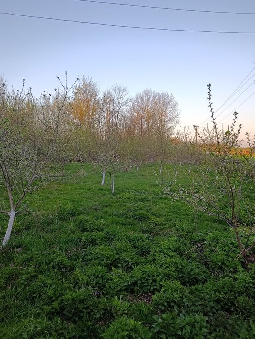 Продам будинок в селі