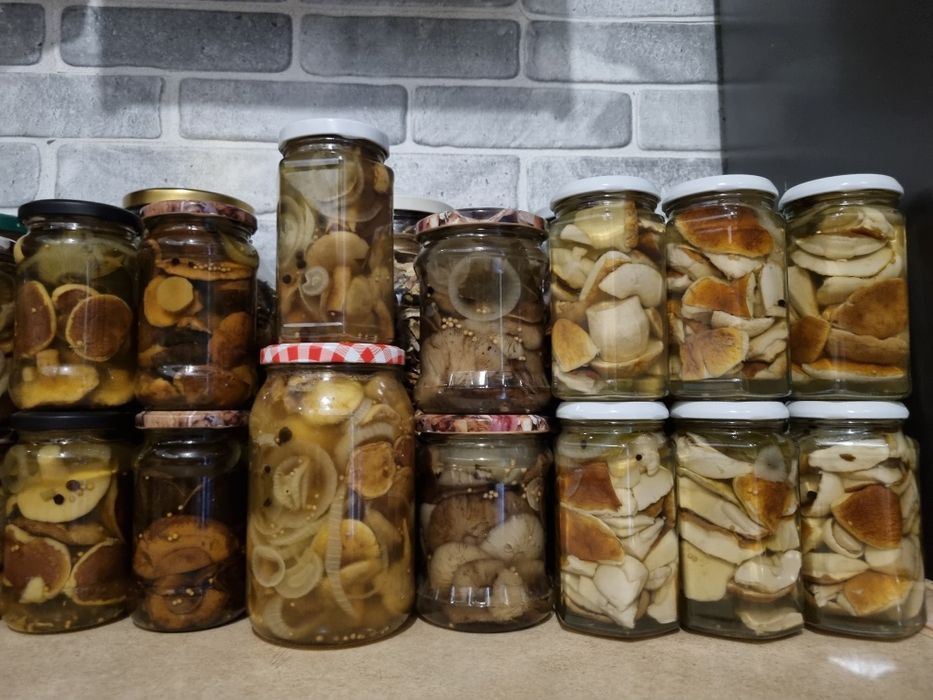 Suszone I marynowane grzyby Borowik podgrzybek maślak