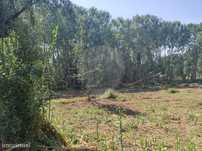 Terreno  para venda