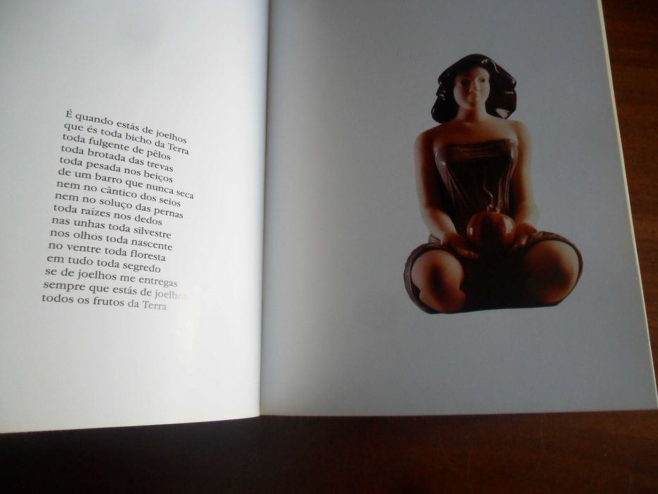 "Francisco Simões, Esculturas e David Mourão-Ferreira, Poesias"