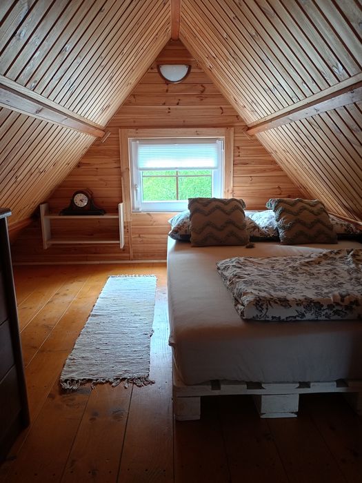 domek brzoza chatkiujagody