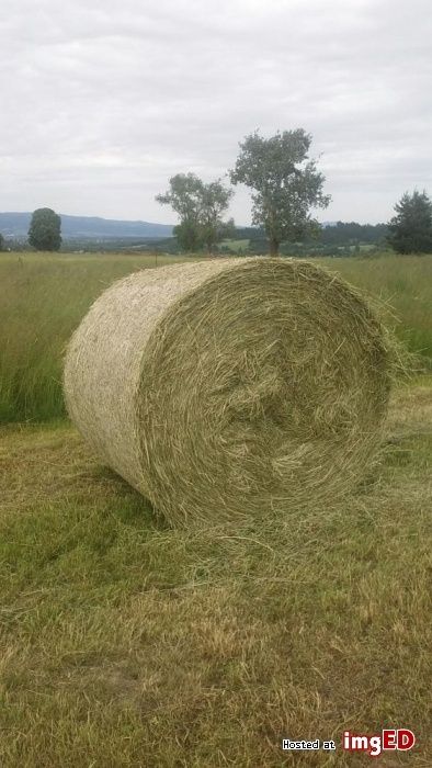 Słoma po pszenicy 130 cm siano  bele kostka heu stroh mala kostka