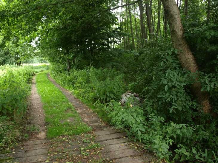 Działka rolno -budowlana okolice Żyrardowa