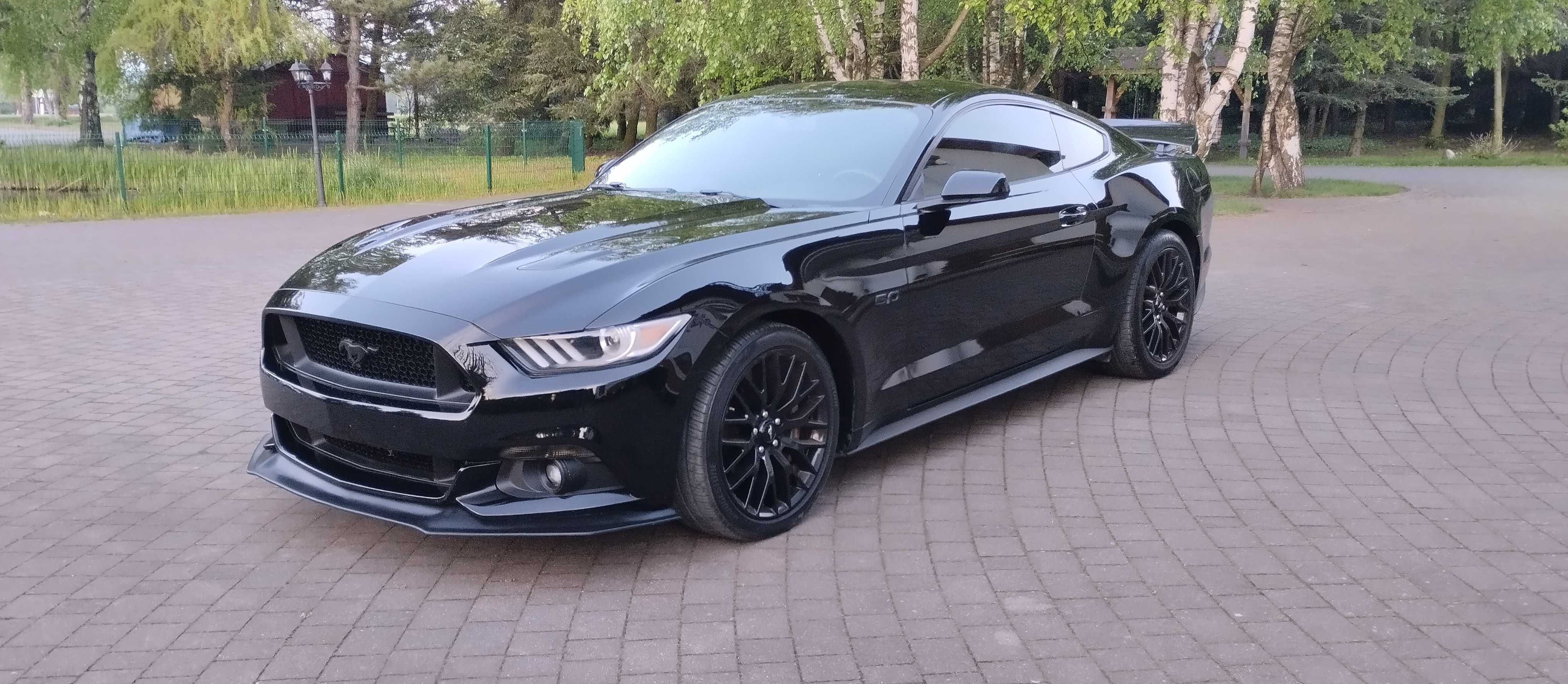 Ford Mustang VI 2015 5.0 wydech dolot Roush Manual
