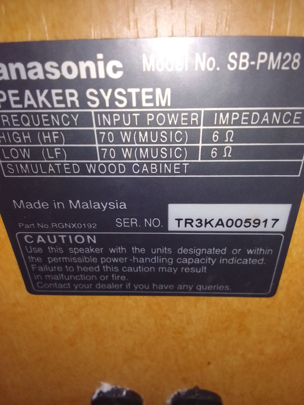 Panasonic speaker system