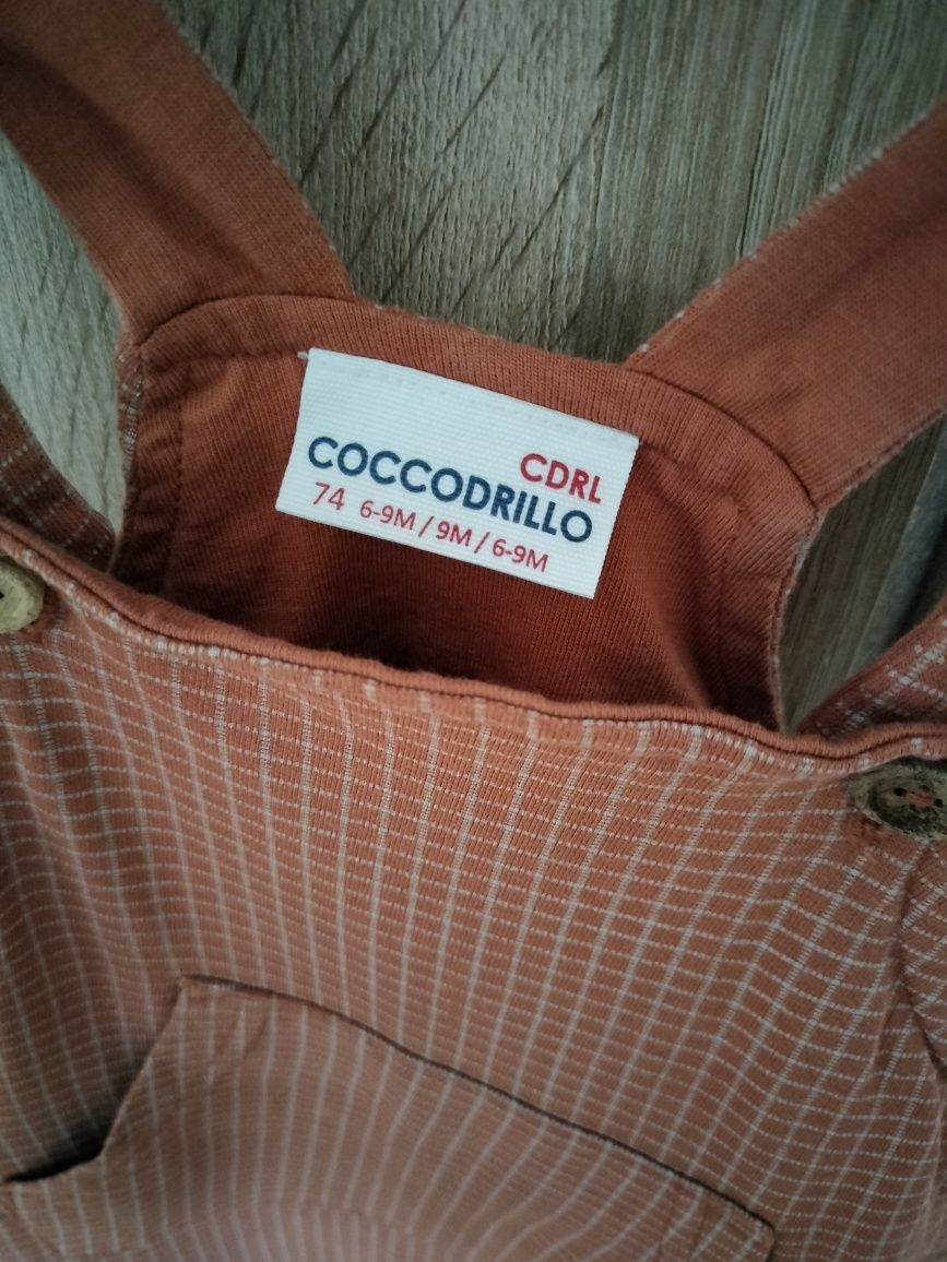 Ogrodniczki coccodrillo